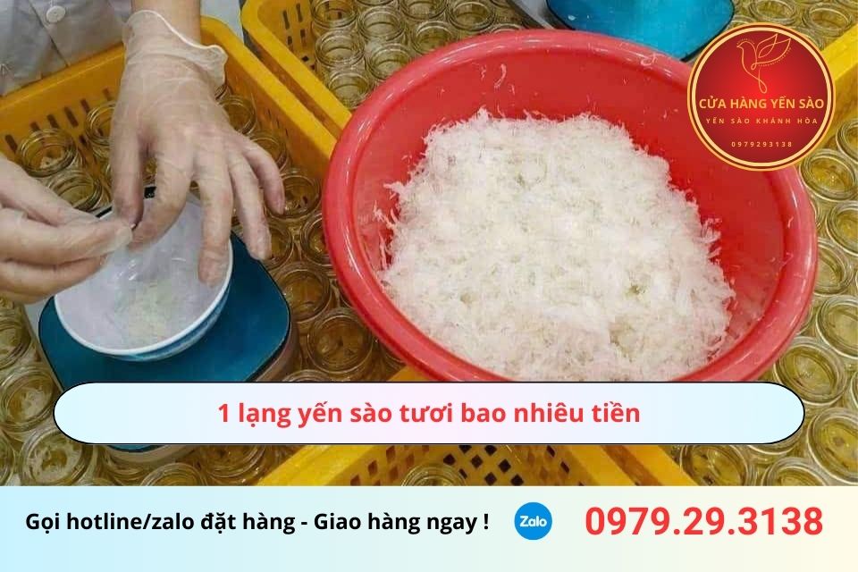 1 lạng yến sào tươi bao nhiêu tiền