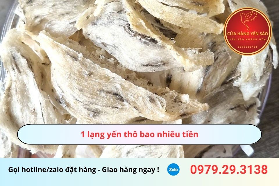 1 lạng yến thô bao nhiêu tiền