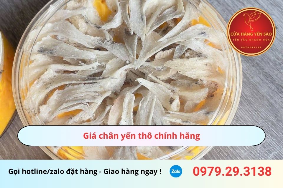 Giá chân yến thô chính hãng